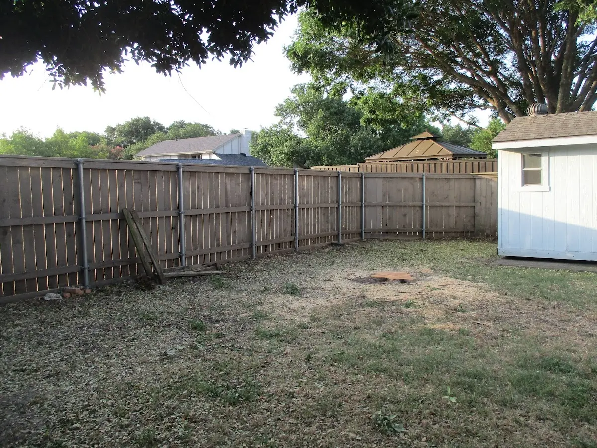 Cleared yard after professional tree removal in Benson